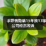 求职者隐瞒15年换13家公司经历败诉(图2) 求职者隐瞒15年换13家公司经历败诉(图2)