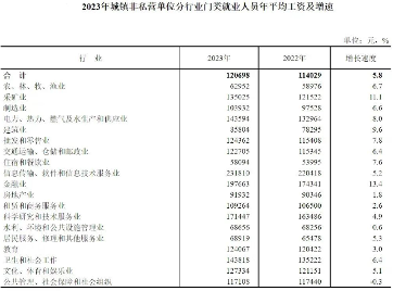 2023年城镇单位平均工资数据发布：金融业增长快，行业差距缩小(图1)